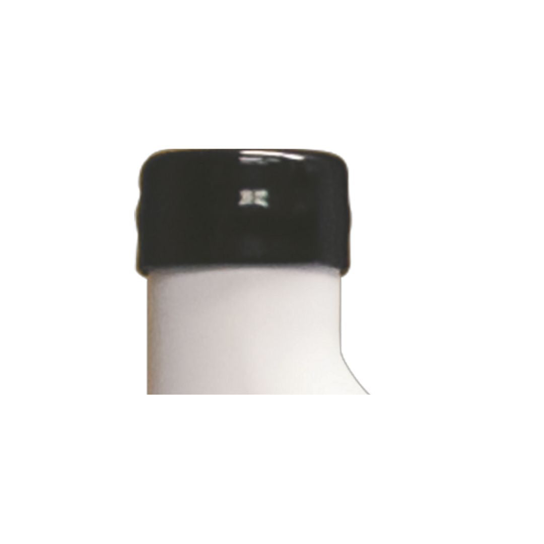 Replacement Step Weight Cap (2)
