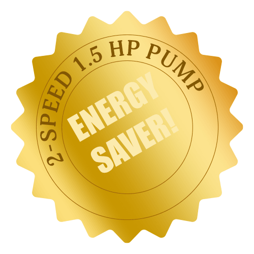 180 Sq. Ft. Blue Torrent Black Diamond Cartridge Filter System with 2 Speed 1.5 HP Energy Saver Pump