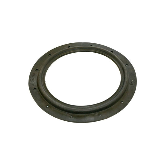 EC 50 A Diaphragm Gasket  - Hayward EC 1003